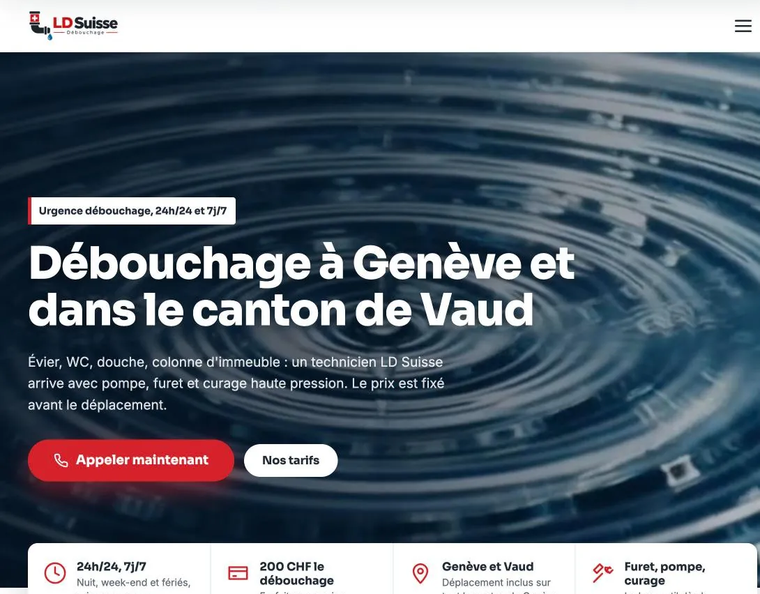Capture du site LD Suisse (ldsuisse.ch) réalisé par Helvarti